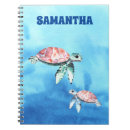 Search for sea turtle notebooks Watercolor