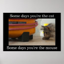 Recherche de souris de chat posters Drôle