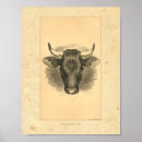 Search for bovin art Farm