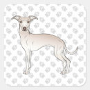 Search for greyhound dog stickers Cute