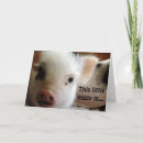 Recherche de petit cochon anniversaire cartes Porcelet