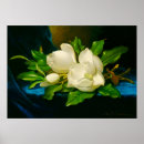 Search for martin johnson heade posters Velvet
