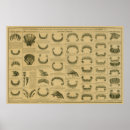 Recherche de dental posters Teeth