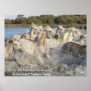 Search for white horse running posters Horses