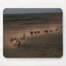 Search for don mousepads Horse