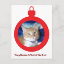 Recherche de chats de noël cartes postales Pour elle