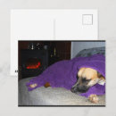 Recherche de endormi cartes postales Animaux de compagnie
