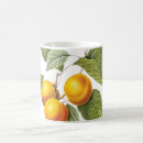 Search for redoute mugs Botanical