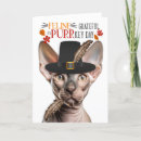 Search for sphynx cat cards Autumn