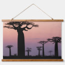 Search for baobab tree art Madagascar