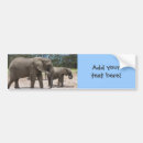 Recherche de éléphants voiture autocollants Nature
