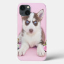 Search for snow ipad cases Alaskan dog