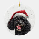 Search for black poodle ornaments Cute