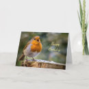 Recherche de robin des bois cartes postales Rouge européen