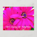 Recherche de violet cartes postales Fleurs violettes