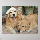Search for baseball cap posters Dog