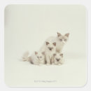 Search for ragdoll stickers Cute