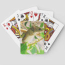 Search for mice playing cards Cat