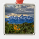 Search for jackson hole ornaments Nature