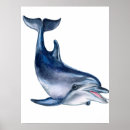 Recherche de de dauphins art Mer