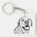 Recherche de labrador retriever porteclés Animaux de compagnie