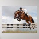 Search for obstacles posters Equestrian