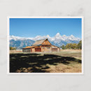 Recherche de tetons cartes postales Vintage