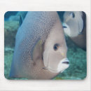 Recherche de climat tropical tapis souris Vertical