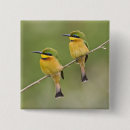Search for eater buttons Bird