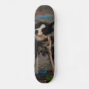 Search for cool boards skateboards Beach
