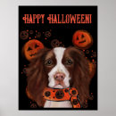 Search for springer spaniel dog posters Spaniels