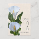 Recherche de calla lily invitations Jardin