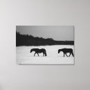 Recherche de un cheval blanc art Champ