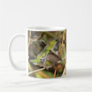 Search for birdwatcher drinkware Hummingbird