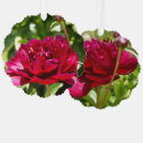 Search for peony ornaments Flowers