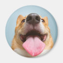 Recherche de très drôle magnets Animaux