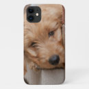 Search for mixed breed dog iphone cases Puppy