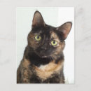 Search for tortoiseshell postcards Kitty