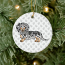 Search for long haired dachshund ornaments Doxie