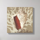 Search for seaside canvas prints Seashells