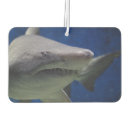 Search for shark car air fresheners Ocean