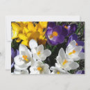 Search for crocus cards Floral