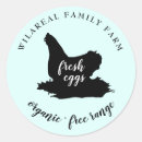 Search for lays stickers Laying hen