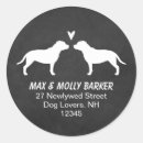 Search for bull terrier stickers Staffy