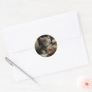 Search for rounded corners stickers Cute
