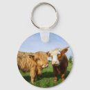 Search for highland cattle keychains Farm