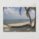 Search for breeze postcards Palm tree