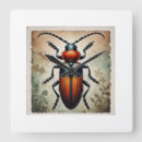 Search for beetle art Watercolor