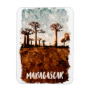 Search for madagascar magnets Africa