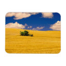 Recherche de région magnets Washington